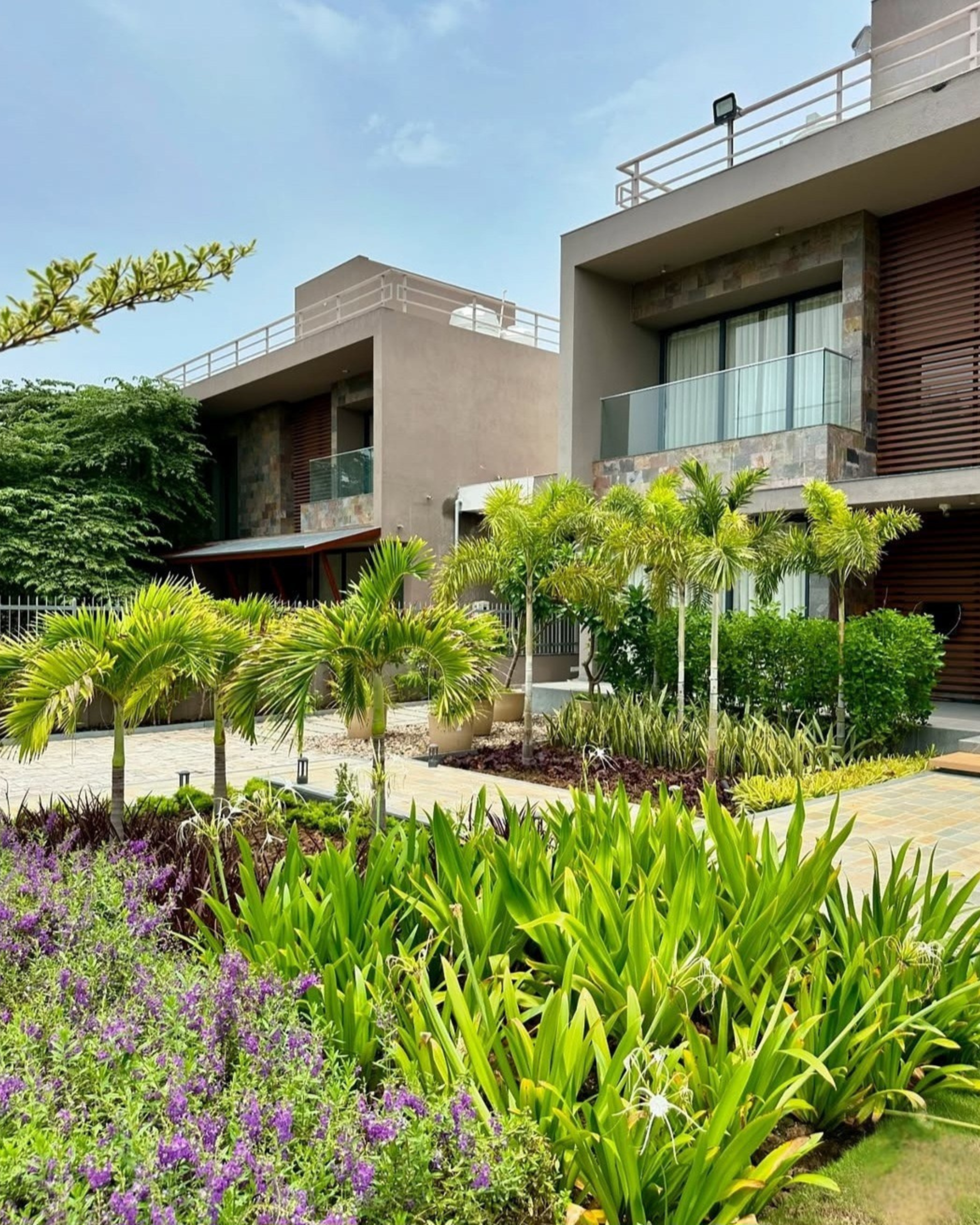 Corner Plant Styling