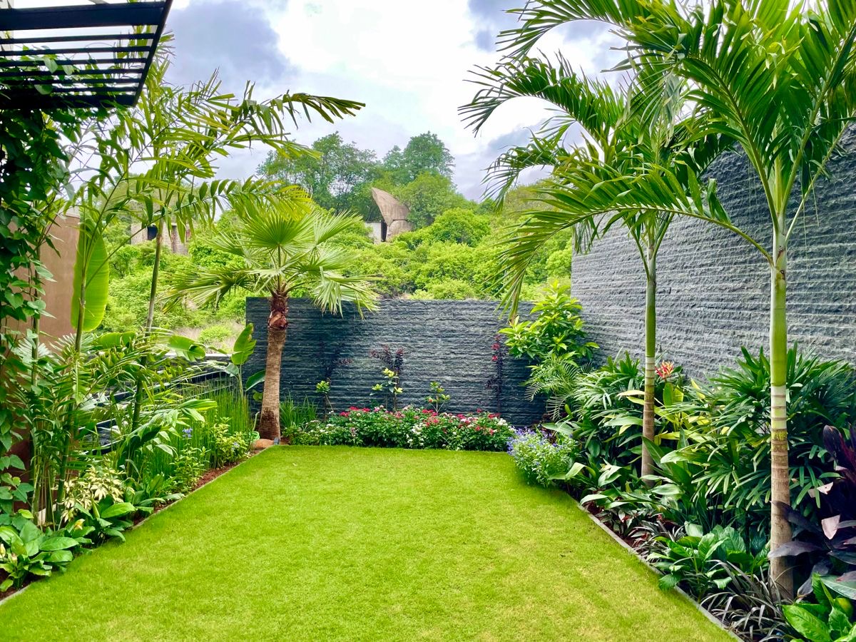 Manicured Green Lawn 4