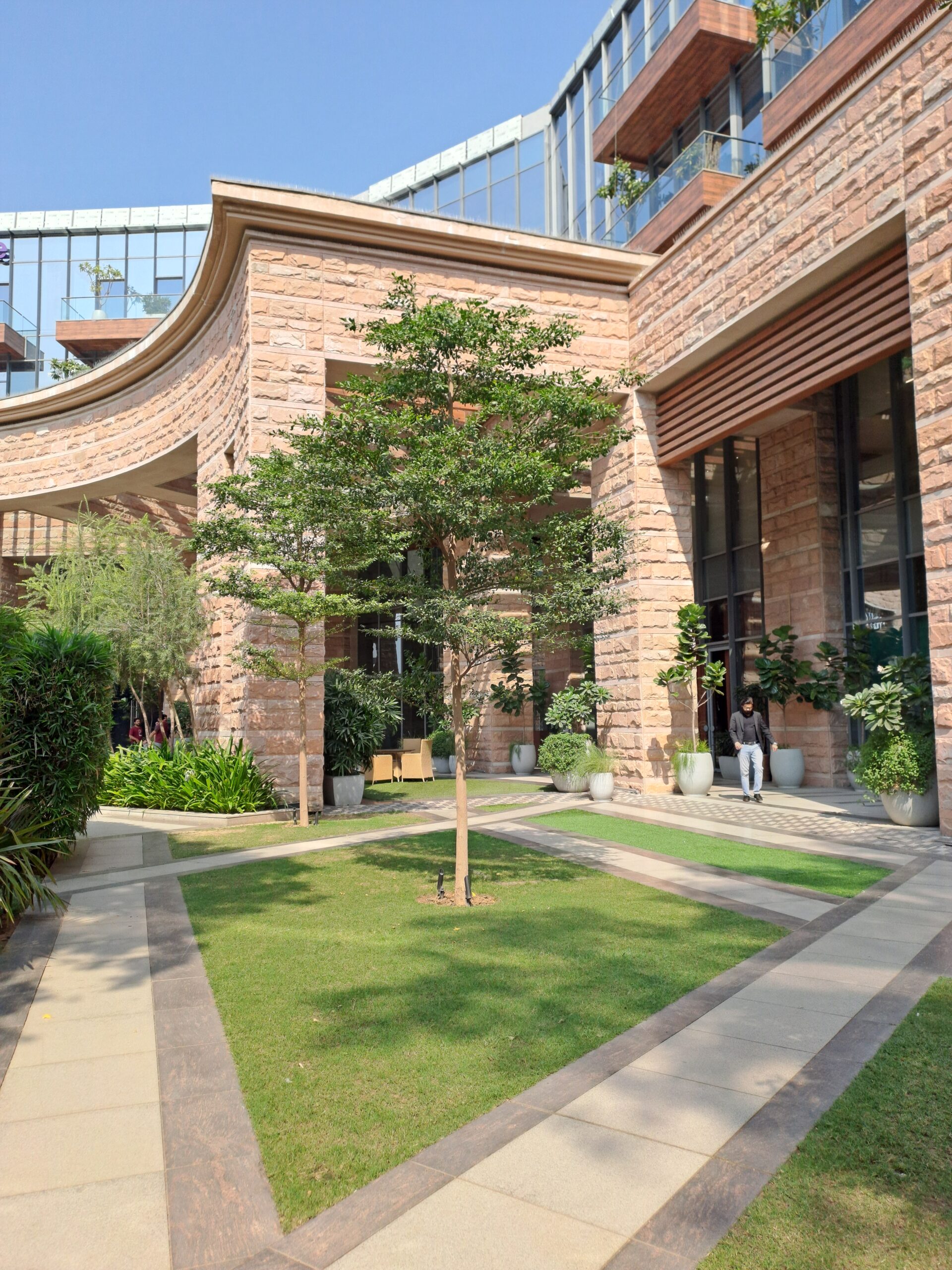 Ornamental Garden Planting 2