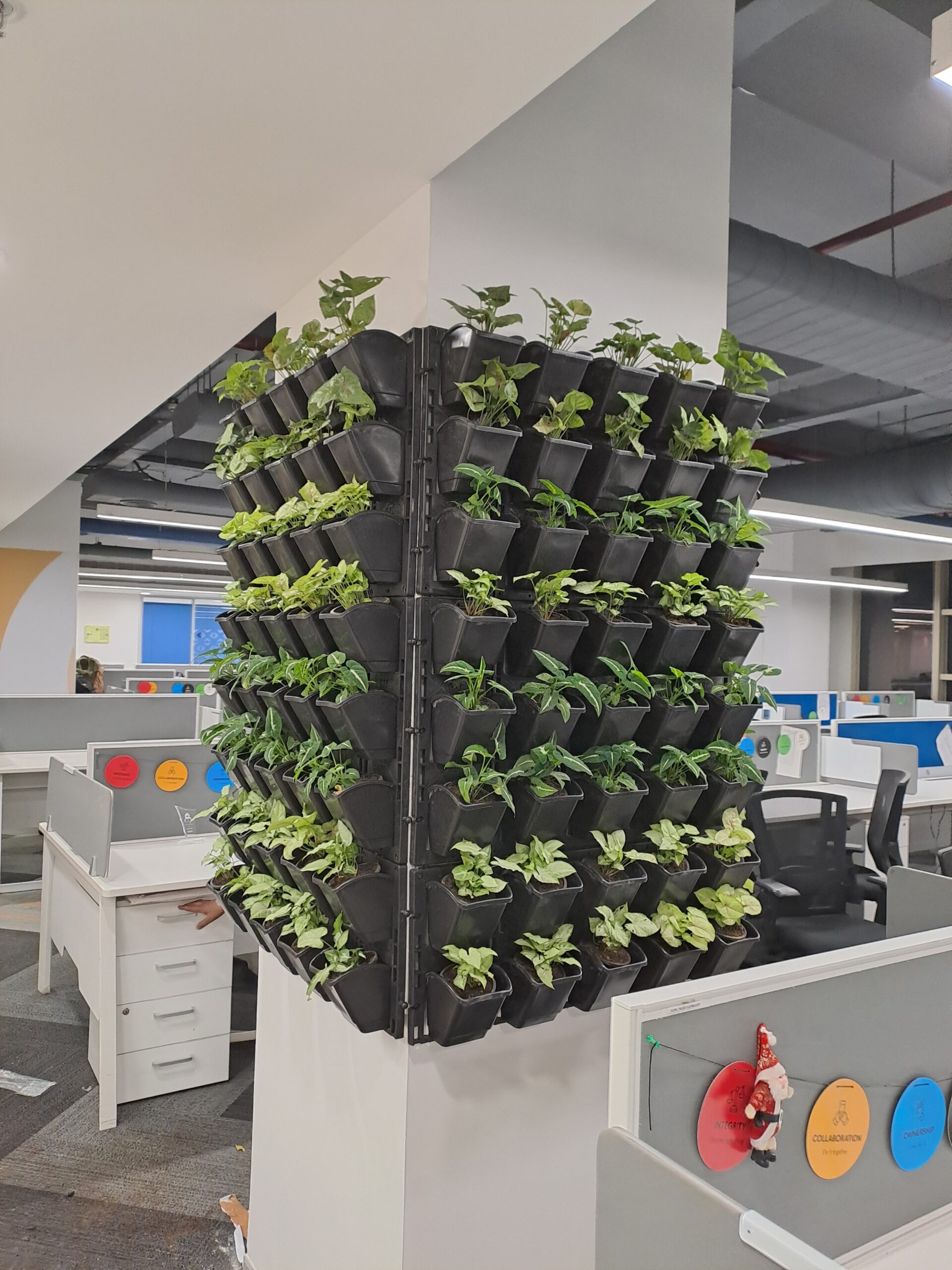 Transforming Dreams Into <em>Green Realities</em>
