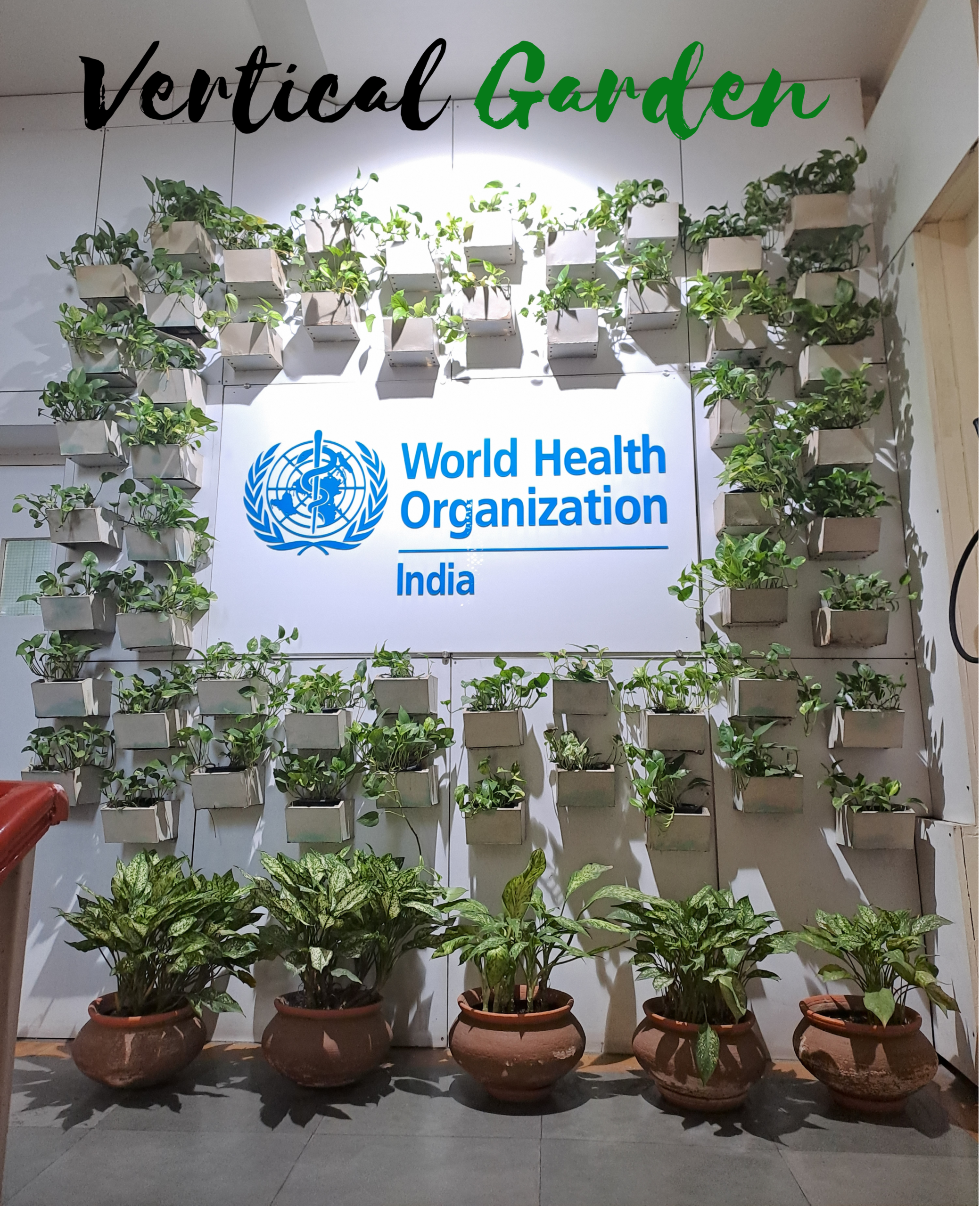 Aesthetic Living Wall 8